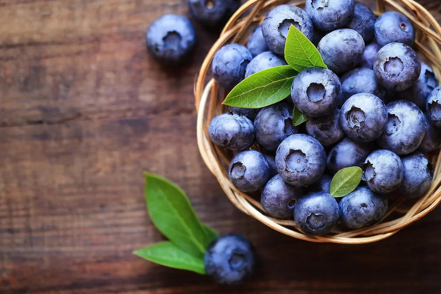 Bienfaits des myrtilles pour les yeux