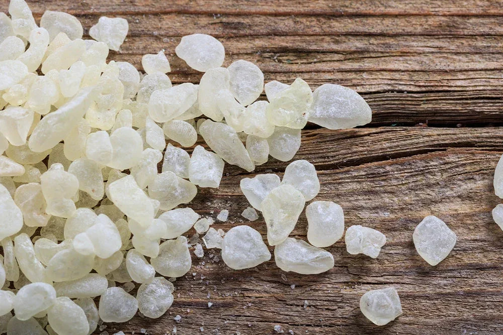 Mastic de chios effets secondaires