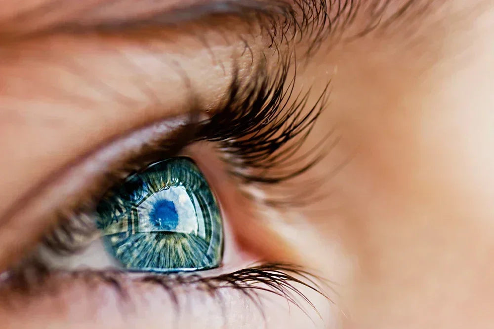 La lutéine est-elle dangereuse