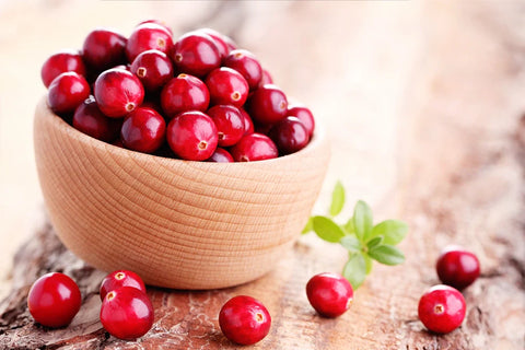 Mirtillo rosso: benefici, proprietà e studi scientifici