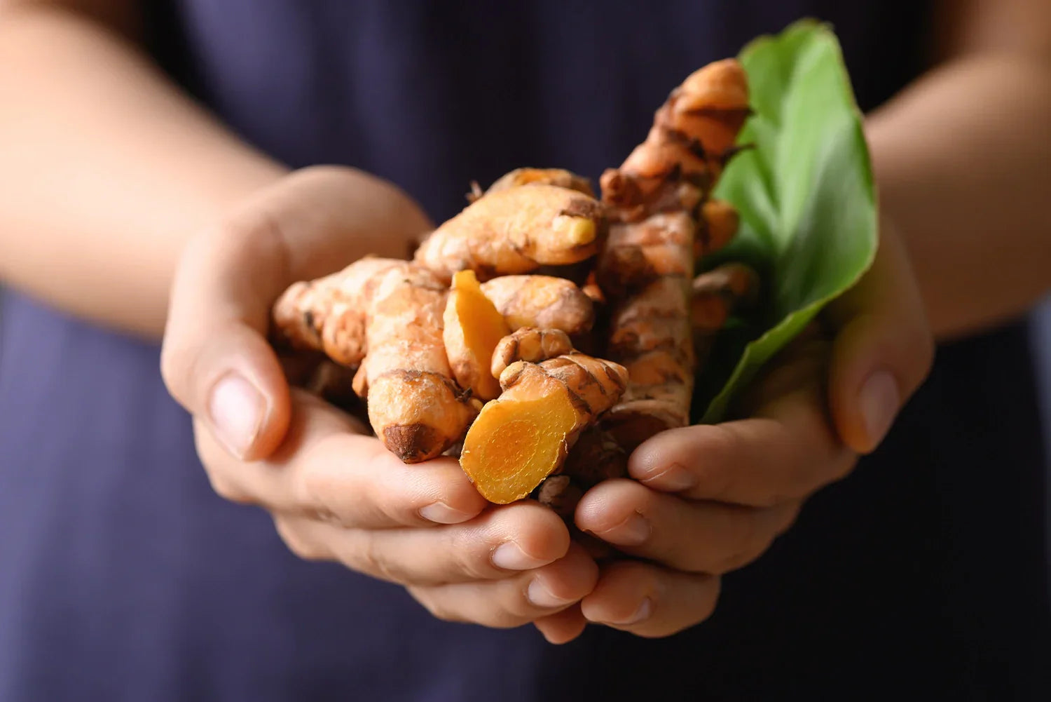 Curcuma + Collagène - santé des os et des articulations