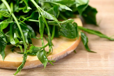Gymnema sylvestre : Avis sur son efficacité pour maigrir et réguler l’appétit