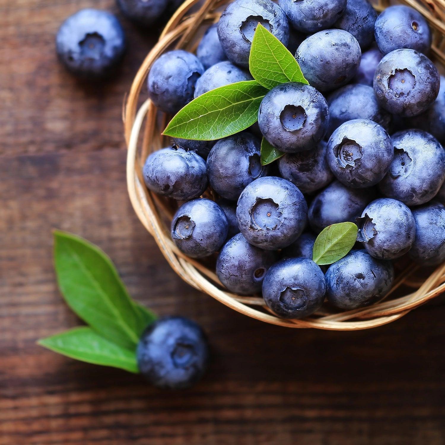 Complesso di mirtillo - salute degli occhi