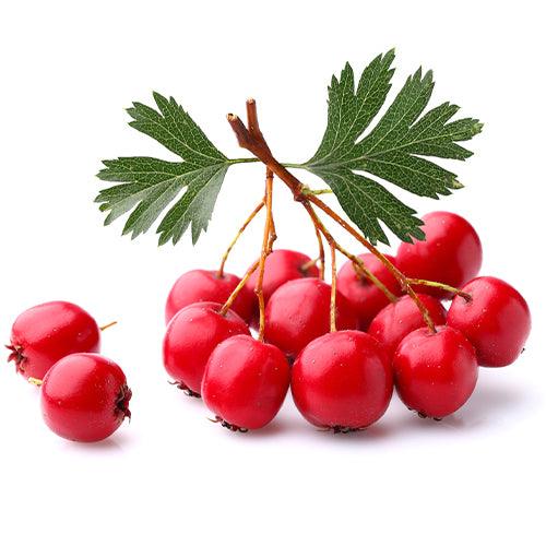 Hawthorn