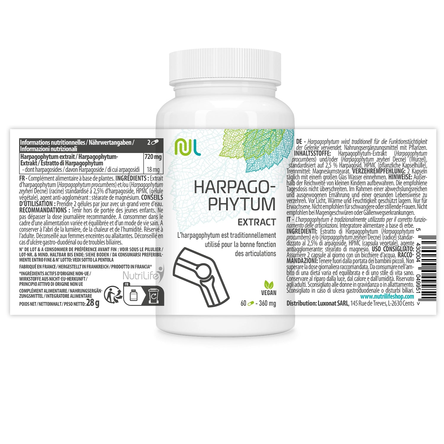 Griffe du Diable - Harpagophytum