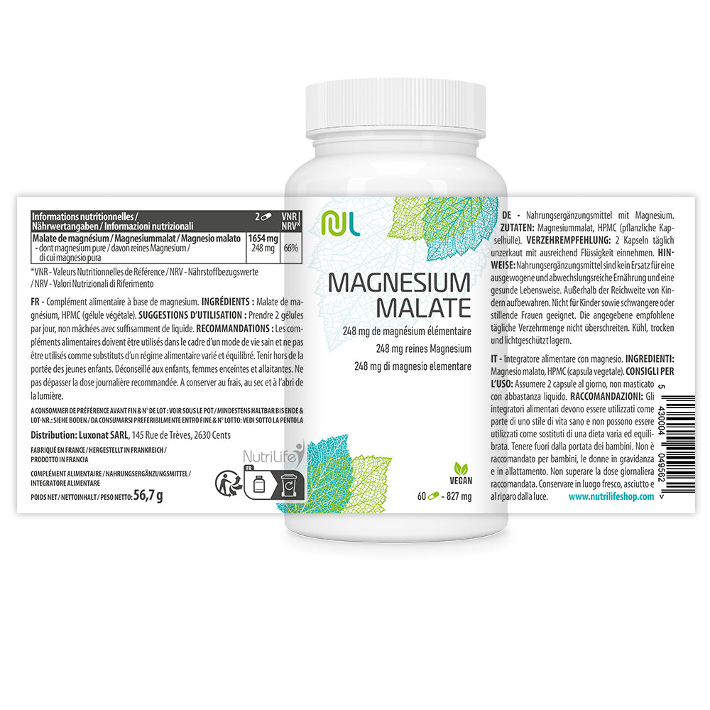 Malate de Magnésium - système nerveux - fatigue