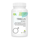 Extrait de Tribulus - tribulus terrestris